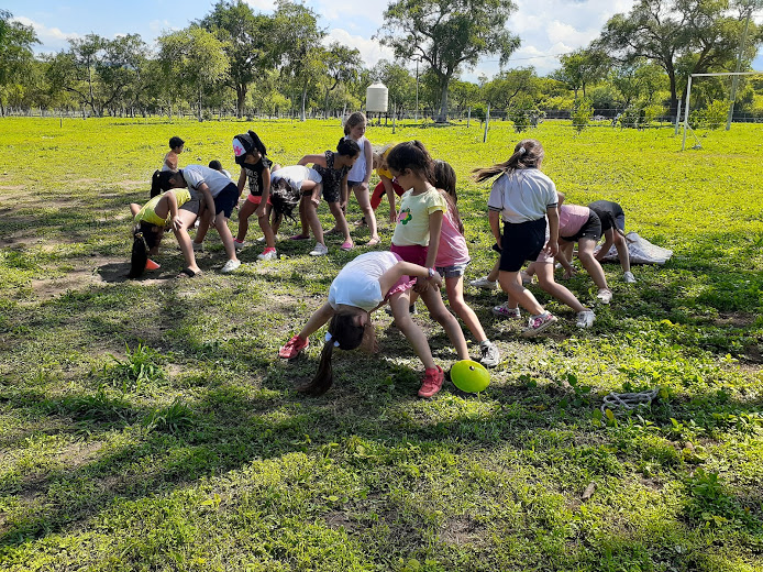 Galería Primaria 5